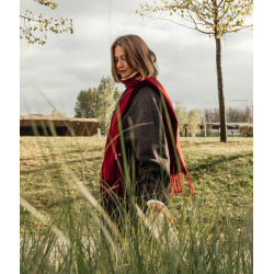 Private Photowalk: Your Story in Frame