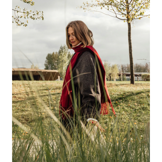 Private Photowalk: Your Story in Frame