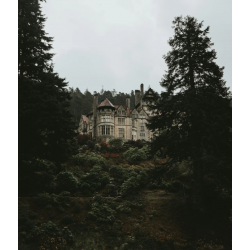 Family Detective Tour: Mystery of the Loire Castle