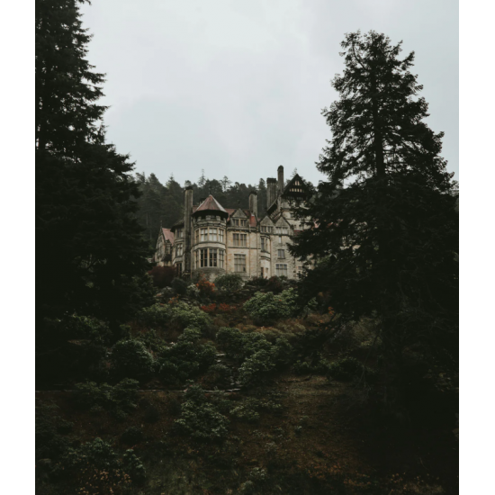 Family Detective Tour: Mystery of the Loire Castle